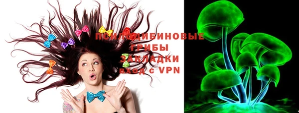 молекула духа Балахна