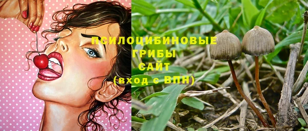 молекула духа Балахна