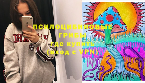 молекула духа Балахна